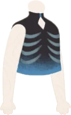 ボーンノースリーブインナーの画像