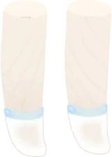 シースルーのショートソックスの画像