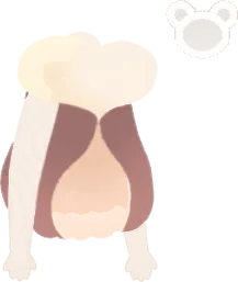 コルヌレプスボディの画像