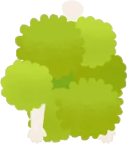 茂みのワンピースの画像