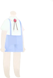 お上品なサスペンダーセットの画像