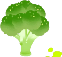 茹でられたブロッコリーの画像