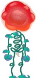佇むグミフラワーの画像