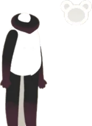 クンパボディの画像