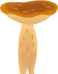 森のキノコの画像