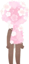 咲き誇る桜の画像
