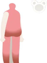 ハリニコゲボディの画像