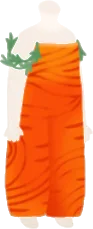 キャロットセットアップの画像