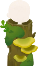 生い茂った森の木の画像