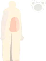 キャンディスノーボディの画像