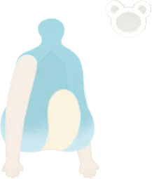 ヒメゼルラボディの画像
