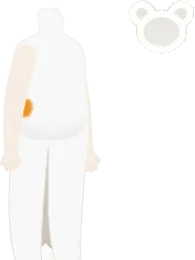 ポムフロートボディの画像