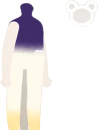 アストルシャボディの画像