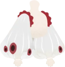 神秘的なシースルーアウターの画像