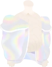 プリズムに偏光するアウターの画像