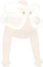 アーキタイプモチーフケープの画像