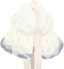 アニバーサリーファーコートの画像