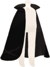 かの詩人のロングマントの画像