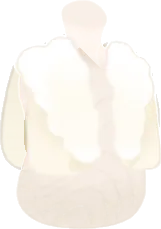 モノトーンショートボアベストの画像
