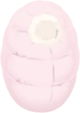 キュッとしまった寝袋の画像