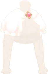 ふんわり袖のボレロの画像