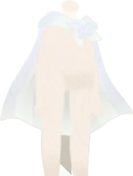 とっておきのマントの画像
