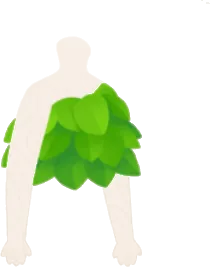 むじゃもじゃ葉っぱの服の画像