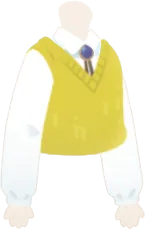 黄色いベストと白シャツの画像