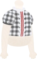 ギンガムチェックのブラウスの画像