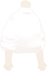 サンルームホワイトトップスの画像