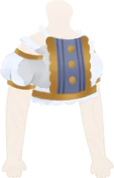 星の光のブラウスの画像
