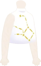 星座柄ノースリーブシャツの画像