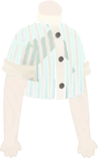ヒッコリーの薄手シャツの画像