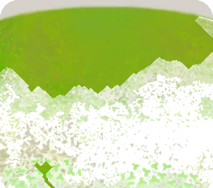 芝生の庭の画像