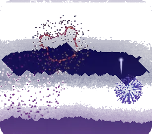 花火が咲く夏の夜空の画像