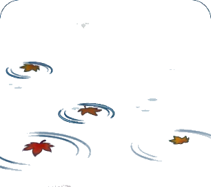 もみじが浮かぶ水面の画像