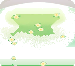 白い小花の咲く丘の画像
