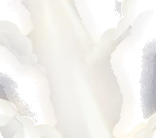光が差し込む空の画像