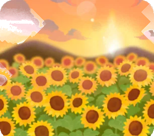 夕陽に照らされたひまわり畑の画像