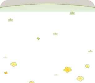 花が咲いた芝生の床の画像