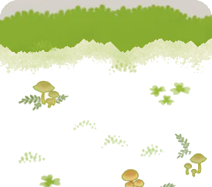 キノコの生えている苔むした地面の画像