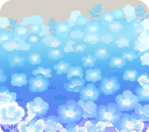 一面に広がるネモフィラ畑の画像