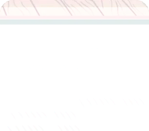 夏の陽に照らされる畳の画像
