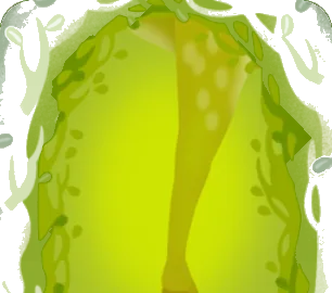 精霊の森の画像