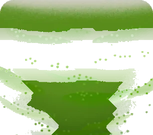 苔の絨毯の画像