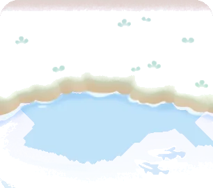 新緑のある水辺の画像