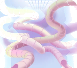 たくさんのウォータースライダーの画像