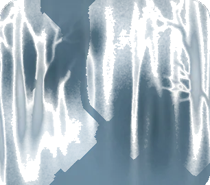深い深い霧の森の画像