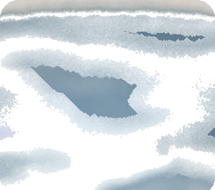 深い深い霧の森の地面の画像