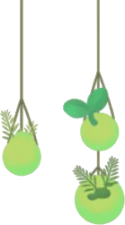 吊るされた原生林の苔たちの画像